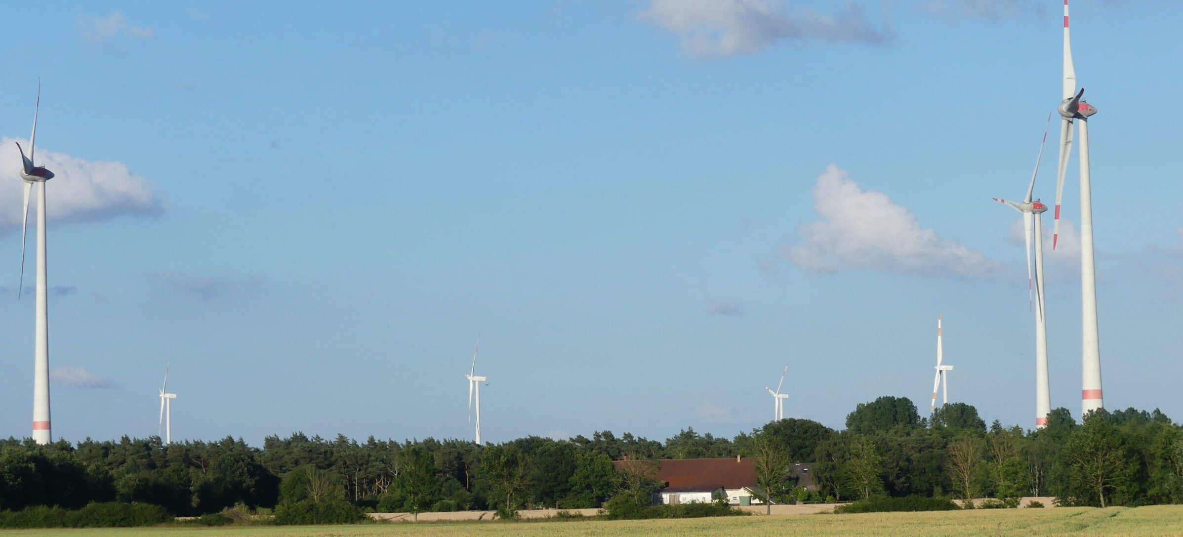 00185-07_Hilfe Windkraft P1120859